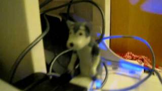 Humping USB dog