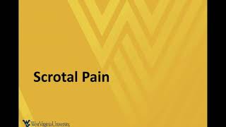 M4 Surgical Skills 2021 POCUS for Testicular Torsion