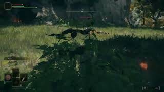 Savior - Elden Ring Stealth Rolling Backstab