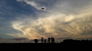 Se fué la lluvia  ,  25/11/ 2019 - 18:42:22