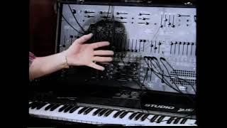 Museum Of Synthesizer Technology Analog Heaven 3