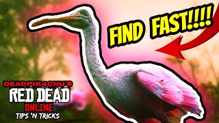 Spoonbill Location (Fast and Easy!) | deadPik4chU's Red Dead Online Tips and Tricks
