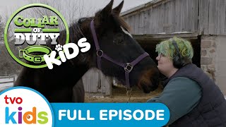 Sam, Shaemus & Soleil / Lucy and Elwood | COLLAR OF DUTY KIDS 🦮 | Awesome Service Animals | TVOkids