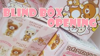 Blind Box Opening: Neko Rilakkuma, Tokidoki, Sailor Moon