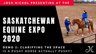 Saskatchewan Equine Expo 2020 Series - Part 4: Clarifying the Space