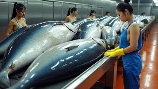 Effective Steps to Catch Herring with Trawlers, Swallowing Tons of Big Fish in the Ocean!