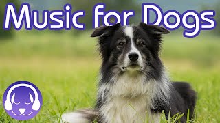 15 Hours of Soothing Dog Therapy Music - INSTANTLY Calm My Dog Down! (TESTED)