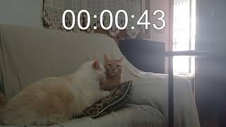 Code Vein con @nekodani! - Llegamos a "Annor Londo"