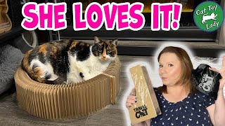 My Cats Fell In Love With These Products! @travelcatshop