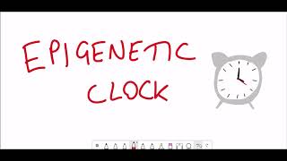 Is epigenetic aging reversible?