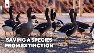 Wildlife conservation with Fjällräven