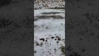 patch of snow in a field