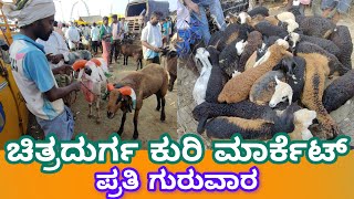 ಚಿತ್ರದುರ್ಗ ಕುರಿ ಮಾರ್ಕೆಟ್ ಪ್ರತಿ ಗುರುವಾರ Chitradurga Sheep Market every Thursday