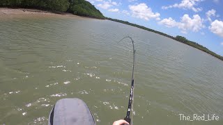 Barramundi fishing after an EARTHQUAKE!?