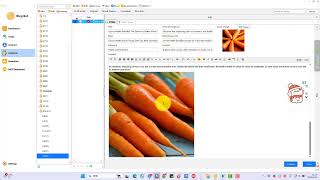 Bulk Article Creation with Images, Excerpts, and Cover Photos for One-Click WordPress Publishing