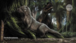 Fast and Furry: The Earliest Evolution of Mammals