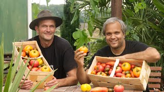 Live aus der Gartenoase - Tomaten, Gemüse und viele Gartentipps vom Gärtner.