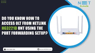 Do you Know How to  access OLT from Netlink  HG3221D ONT using the port forwarding setup?-113