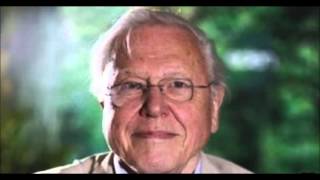Sir David Attenborough Cancelled Trip To Australia