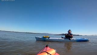 kayaking SF bay