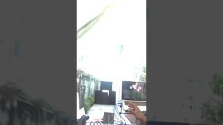 Solid gold sound Guyana