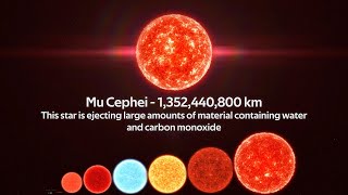 Size Comparison of the Universe 2021