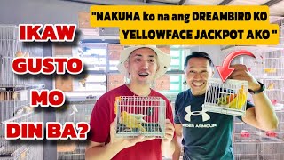 PAANO MAGKAROON NG DREAMBIRD NA YELLOWFACE AQUA AT RED FACTOR? VERY AFFORDABLE LANG