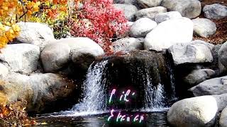 Relaxing sounds | Meditation