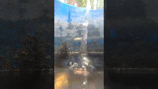 🥰#viralvideo #viral