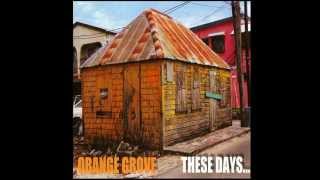 Orange Grove - Super Californian
