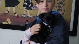 bailey 10 may 2020