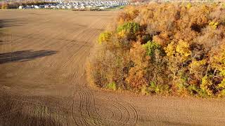Fall Colors - Nov. 6, 2021