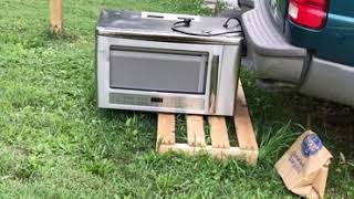 Microwave destruction II