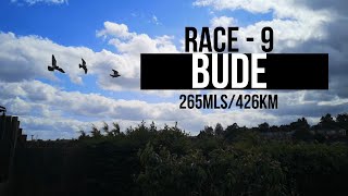 RACE 9 - BUDE
