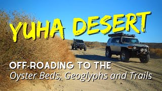 Offroading To The Yuha Desert Oyster Beds