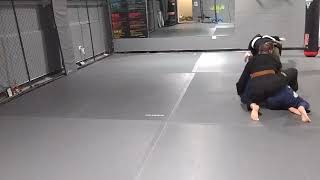 Live Roll (Apr242025)