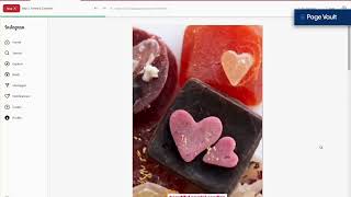 Page Vault Browser Overview
