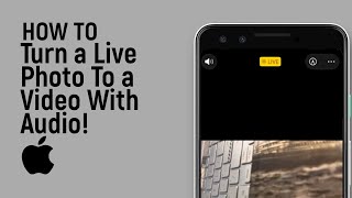 How to Turn a Live Photo To a Video With Audio on Any iPhone Easily [easy]