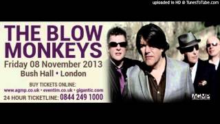 AGMP presents THE BLOW MONKEYS live in London Friday 08 November 2013