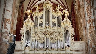 Thomas Arne (1710-1778) - Concerto No.5 g-minor / Andrzej Szadejko & Goldberg Baroque Ensemble LIVE!