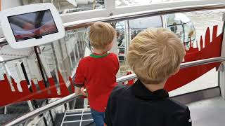 Ivor and Ernie at the London Eye - September 2017