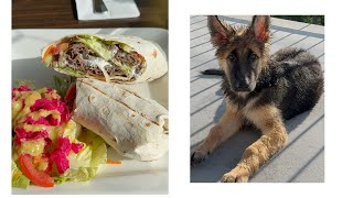 Laboy at paligo ni Kawhi /Moneyger'$ Foodtrip #food #dog #gsdpuppy 