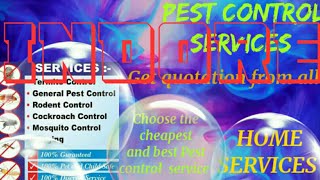 INDORE    Pest Control Services ~ Technician ~Service at your home ~ Bed Bugs ~ near me 1280x720 3 7