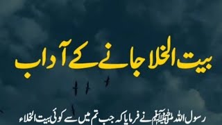 “Toilet Jaane ke Adab – Sahih Muslim Hadith | Islamic Tips”Noor Muslims Channel #shorts