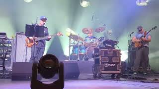 disco biscuits-Basis peak-4.1.22