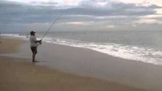 Roosterfish release, the right way