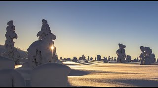 Faraja Mwamalumbili: Punakylkiset omenat