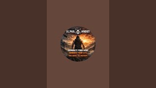 Alpha Mindset is live