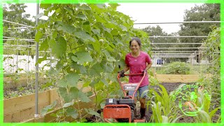The secret to a successful vegetable garden, hubby asked and disclose...