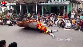 Aksi Jatilan Mengangkat Dadak Merak